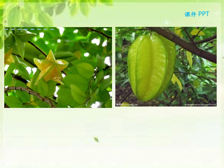 小学数学2011版本小学四年级小学数学四年级下册《观察物体》_第2页