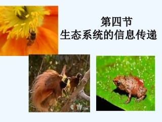 第4节信息传递