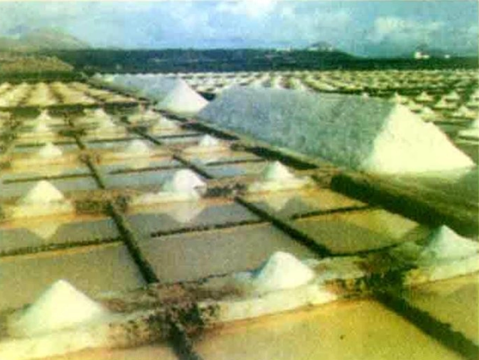 1、氯气的制法_第3页