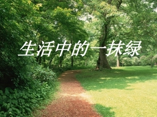 生活中的那抹绿-主题团会