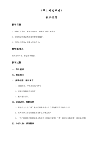 (部编)初中语文人教2011课标版七年级下册带上她的眼睛--教案