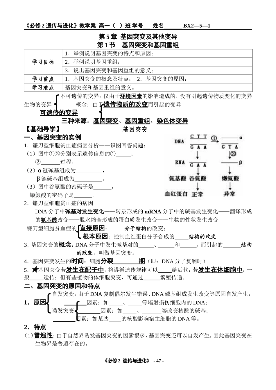 第1节基因突变和基因重组_第1页