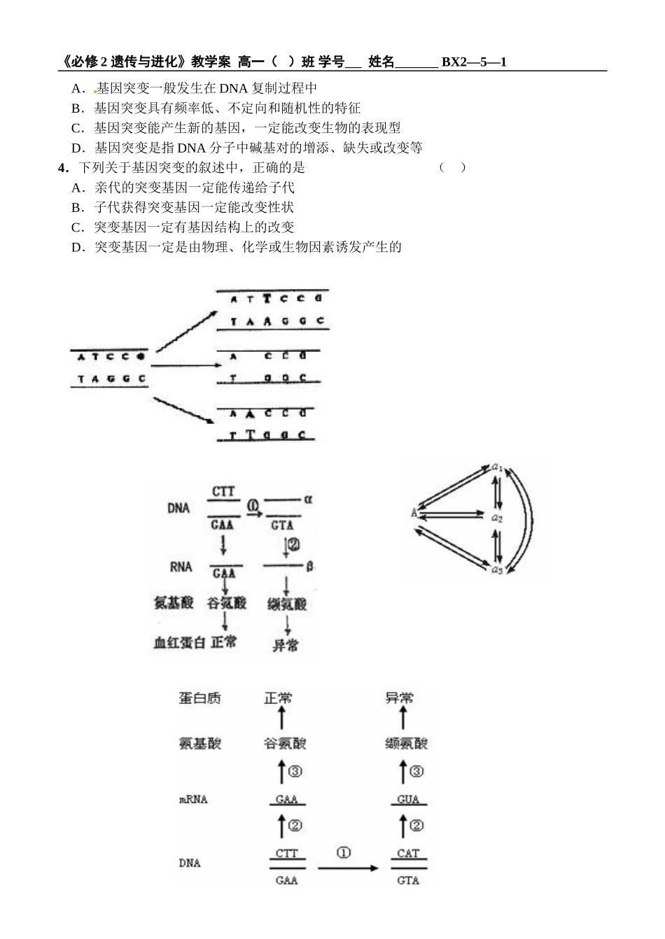 第1节基因突变和基因重组_第3页