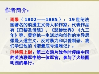 两个强盗闯进圆明园
