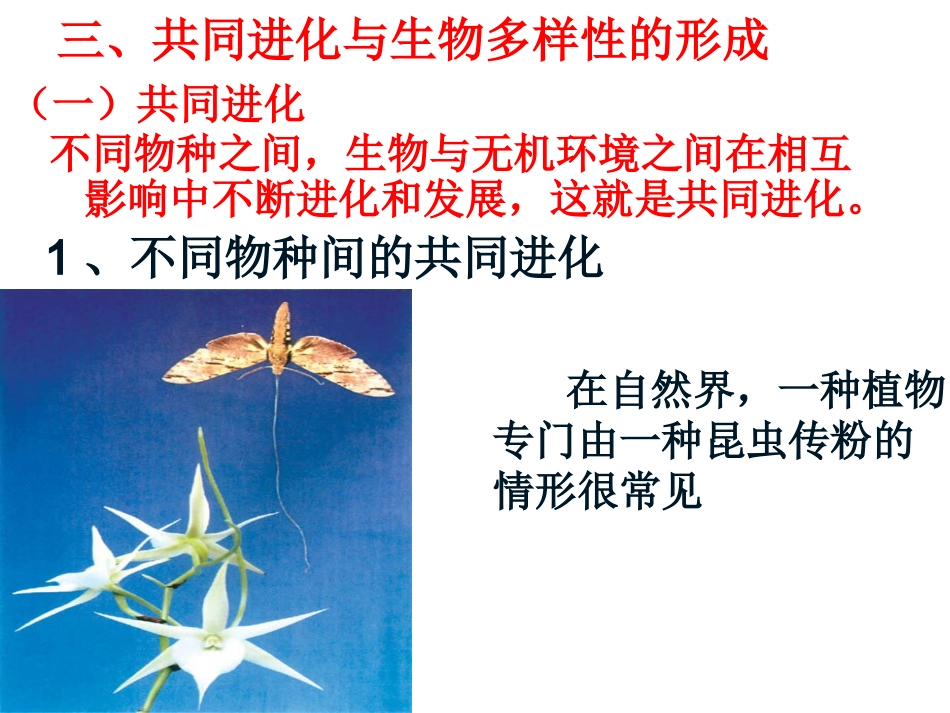 三-共同进化与生物多样性的形成_第2页