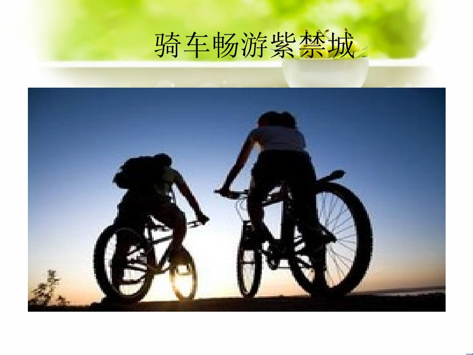 第十四课骑车畅游紫禁城_第3页