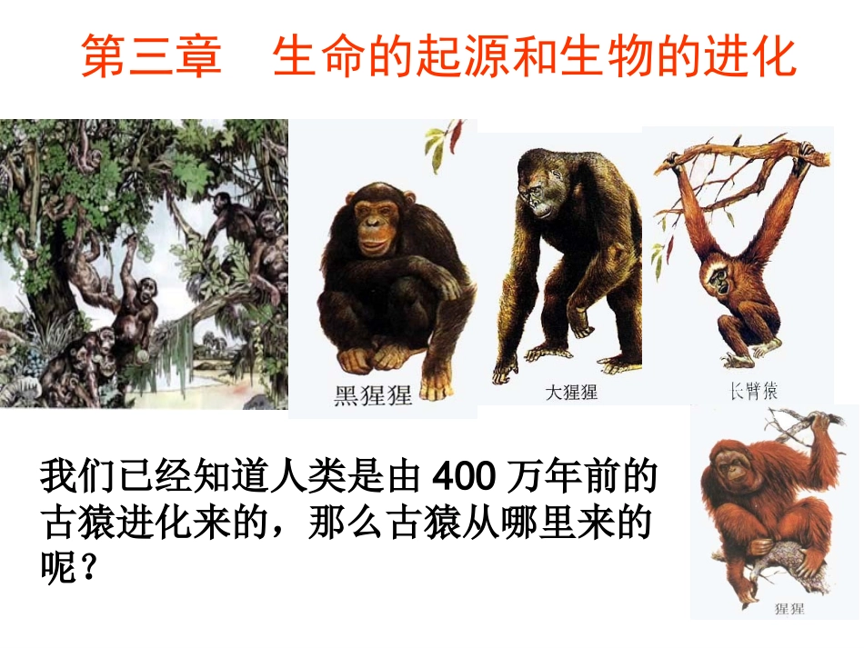 第一节生物生命的起源_第1页