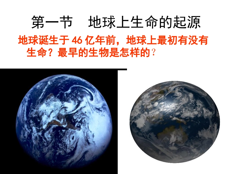 第一节生物生命的起源_第2页
