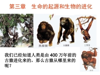 第一节生物生命的起源