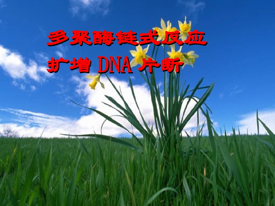 课题2-多聚酶链式反应扩增DNA片段-(2)_第1页