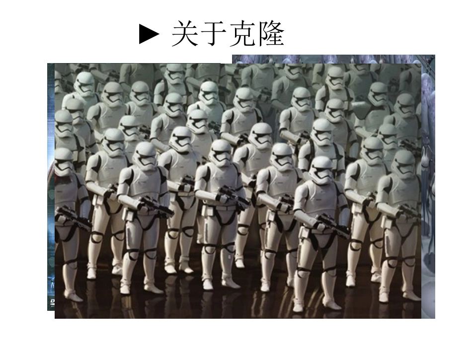 4.1.1全等三角形.1全等三角形课件3[1]_第1页