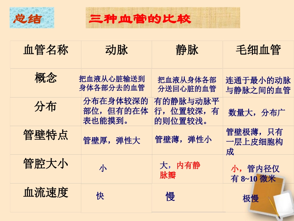 第三节输送血液的泵——心脏_第3页