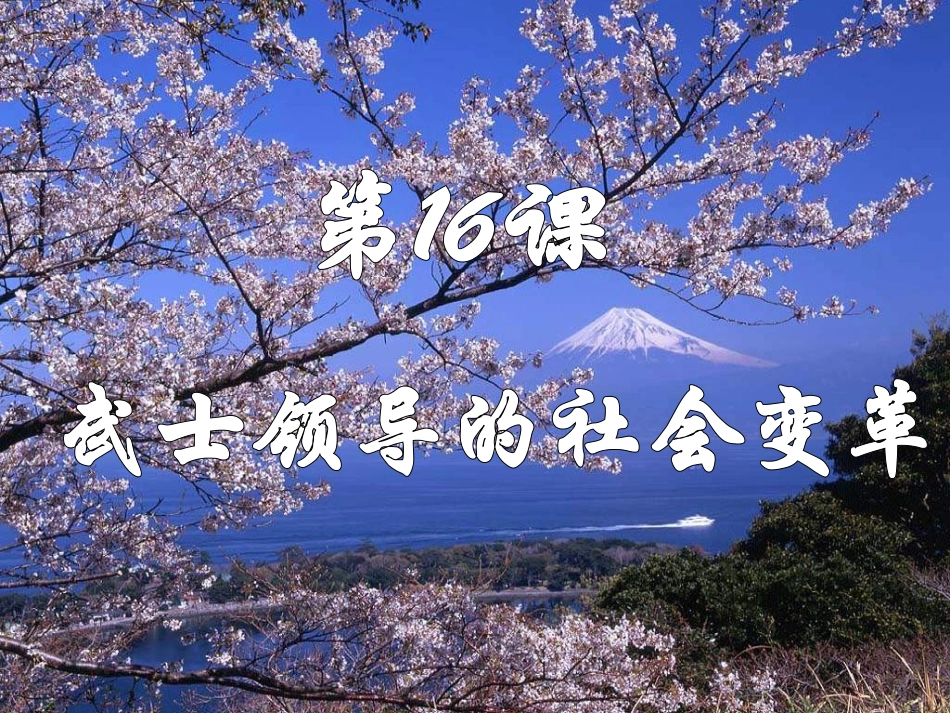 武士领导的社会改革武军_第1页