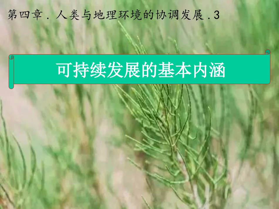 第三节可持续发展的基本内涵-(3)_第1页