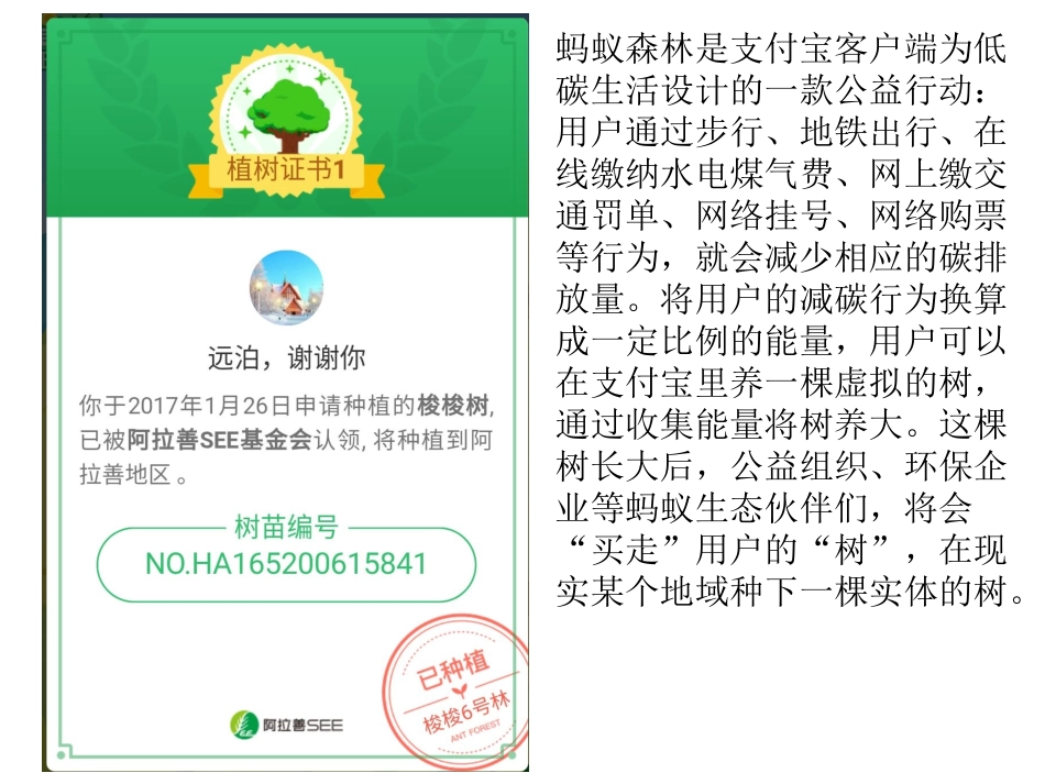 第三节可持续发展的基本内涵-(3)_第2页