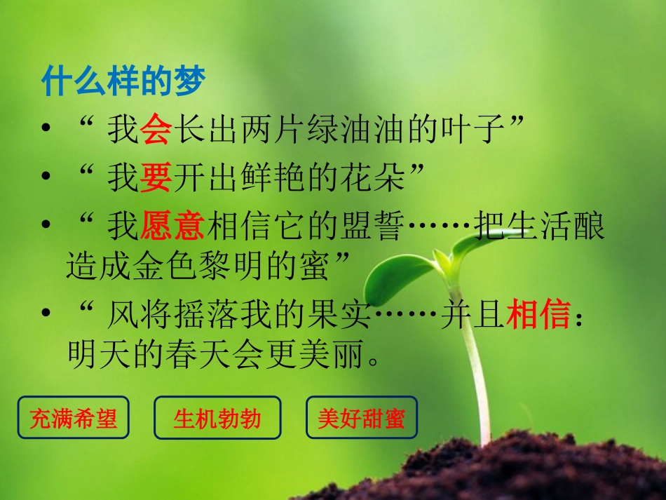 种子的梦-(2)_第3页