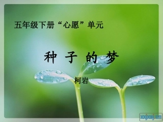 种子的梦-(2)