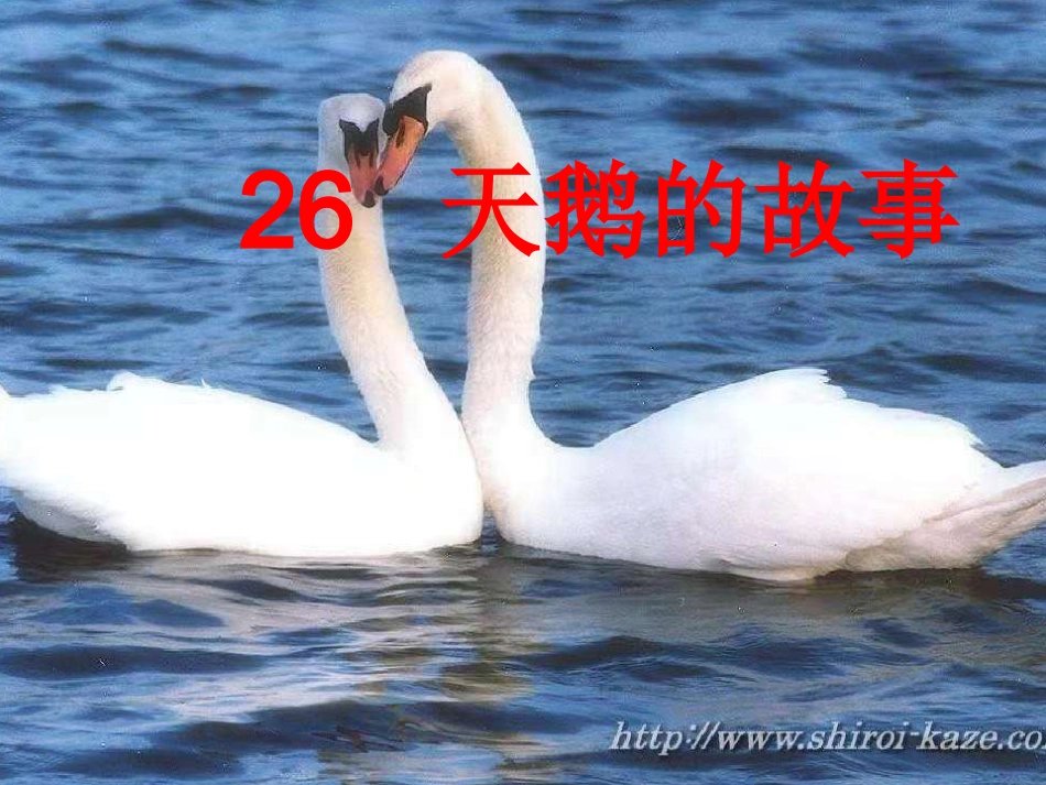 26天鹅的故事_第2页