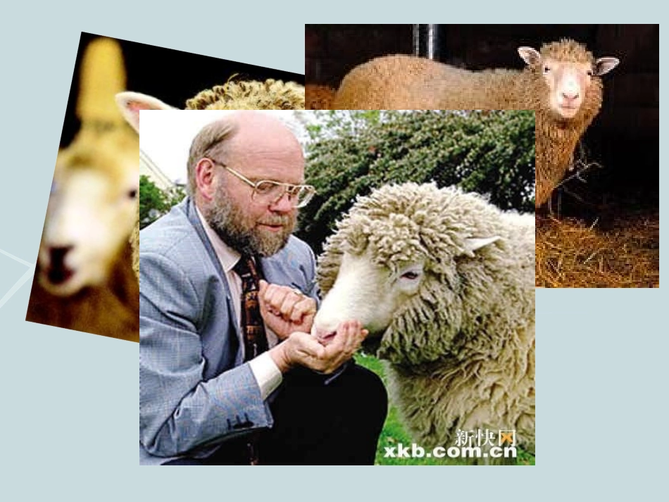 拓展视野-多利羊猜想-(2)_第3页