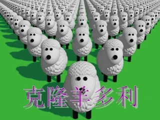 拓展视野-多利羊猜想-(2)