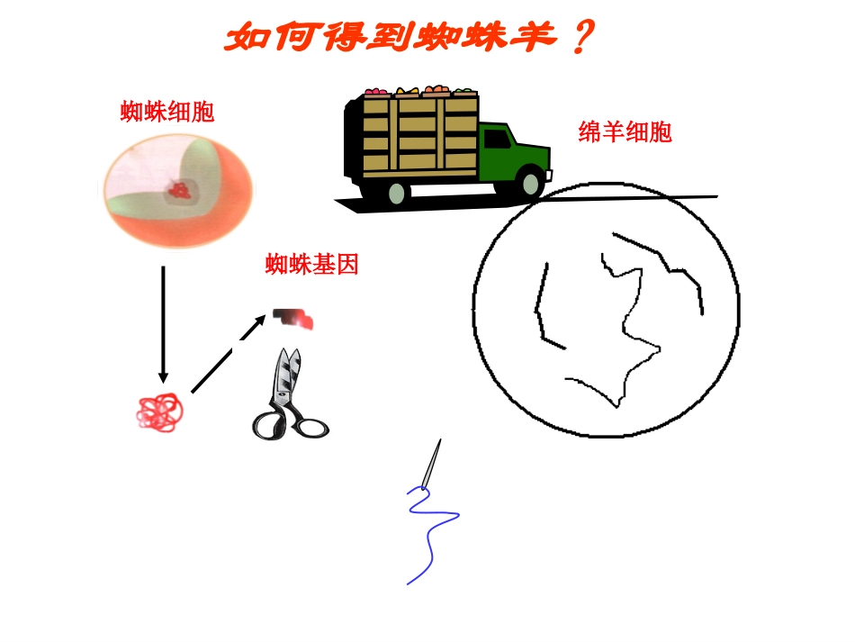 1.基因工程的工具_第3页