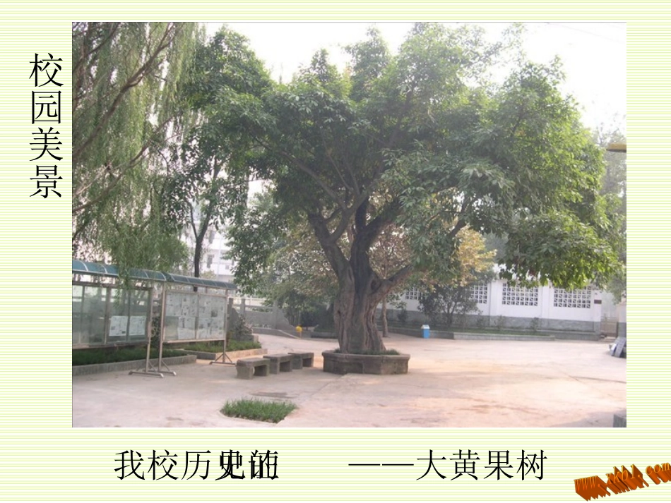 第2课-设计我们的校园_第3页