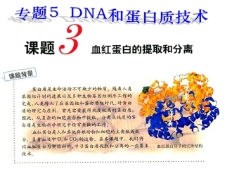 课题3-血红蛋白的提取和分离-(8)