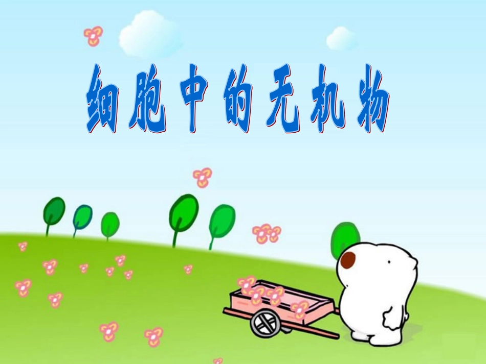 细胞中的无机物_第1页