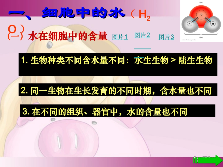 细胞中的无机物_第3页