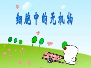 细胞中的无机物