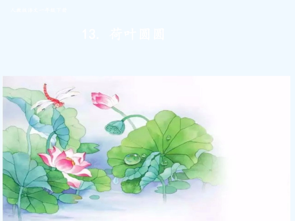 (部编)人教语文2011课标版一年级下册13.荷叶圆圆_第1页