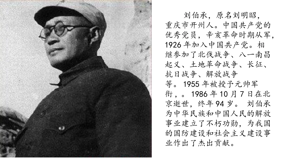 2动物运动会_第3页