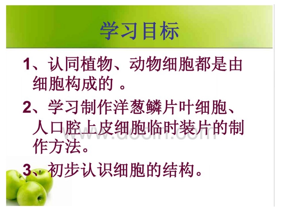 第2节人体的组成-(2)_第1页