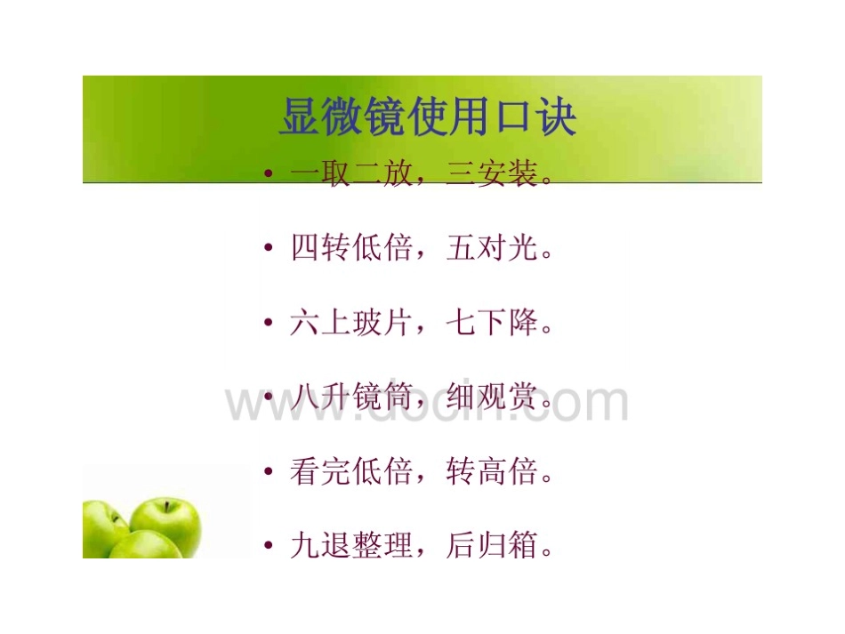 第2节人体的组成-(2)_第3页