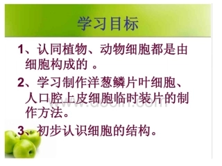 第2节人体的组成-(2)