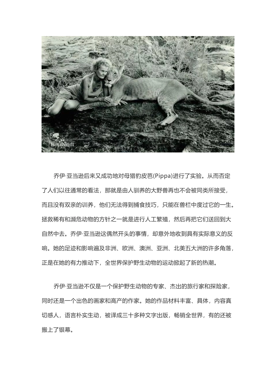 3-小狮子爱尔莎_第2页