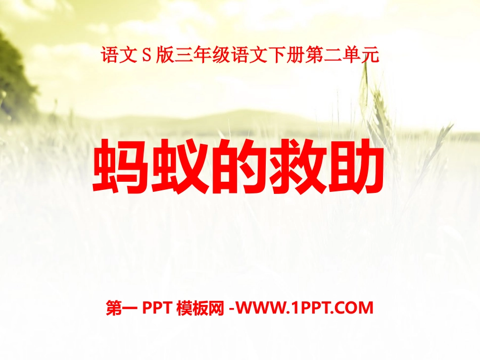 7蚂蚁的救助_第1页