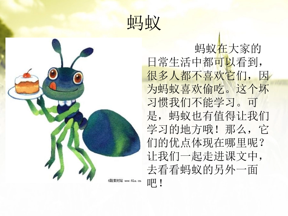 7蚂蚁的救助_第2页