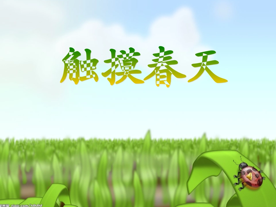 《触摸春天》教学课件_第1页