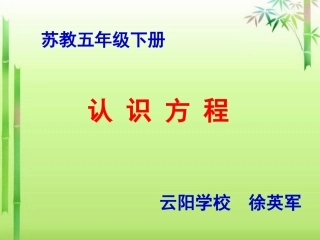 苏版五下《方程》