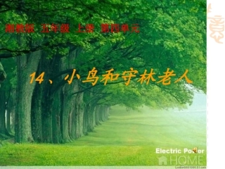 小鸟和守林老人