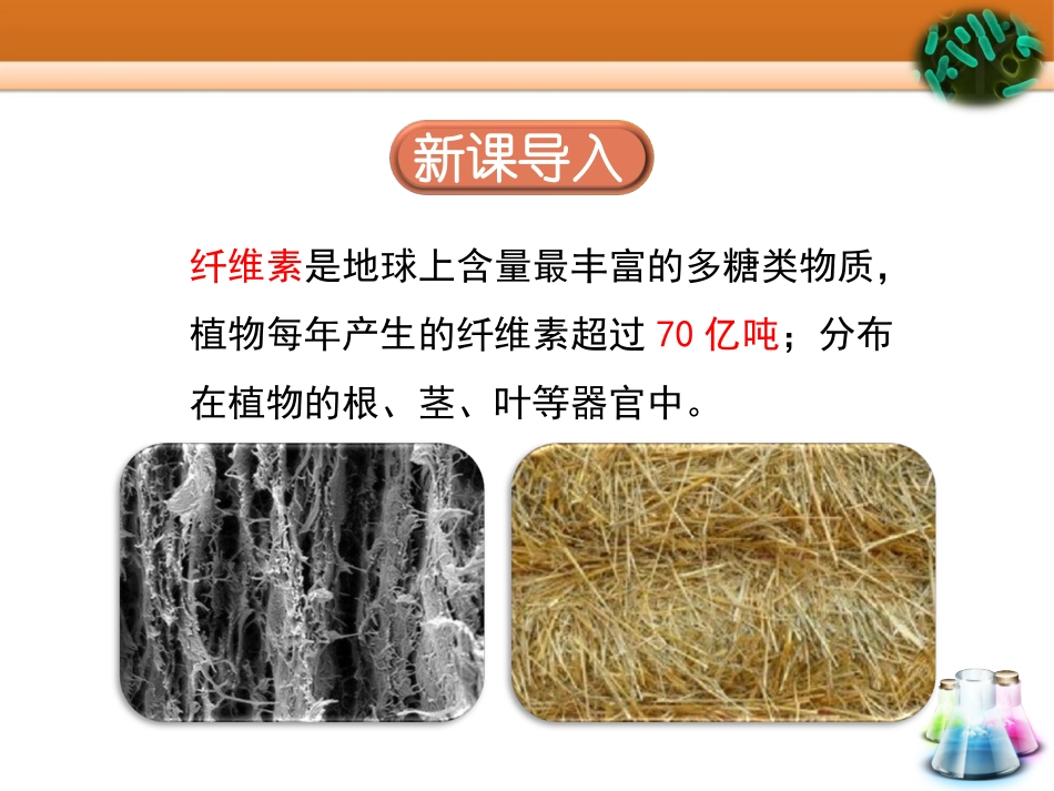 课题3-分解纤维素的微生物的分离-(4)_第2页