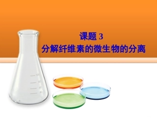 课题3-分解纤维素的微生物的分离-(4)
