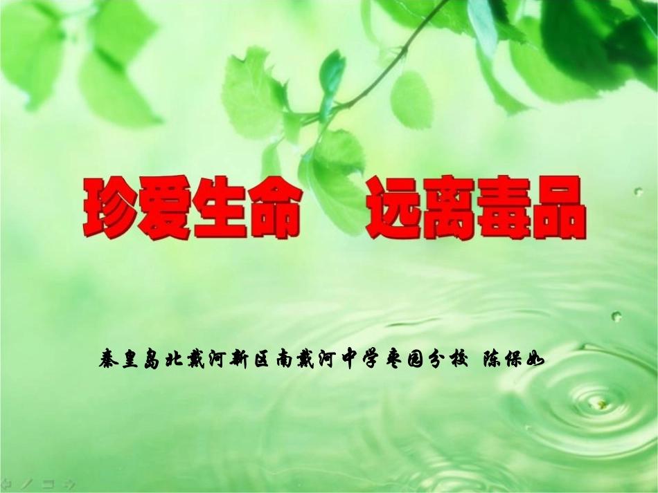 5.参与禁毒宣传活动_第1页