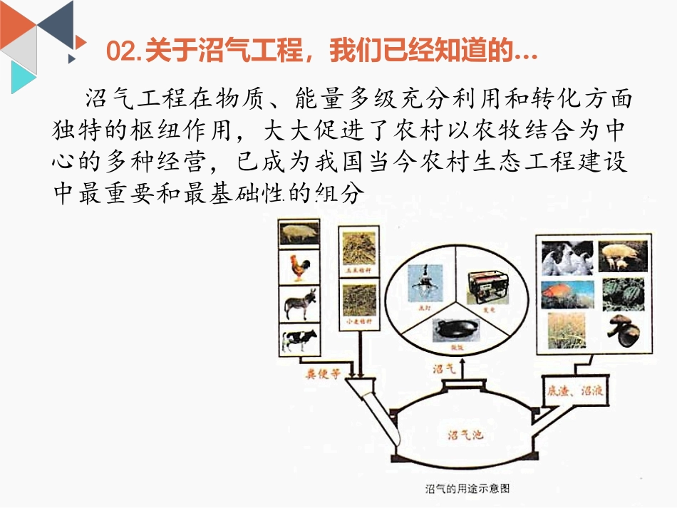 拓展视野-前景广阔的沼气工程-(2)_第3页
