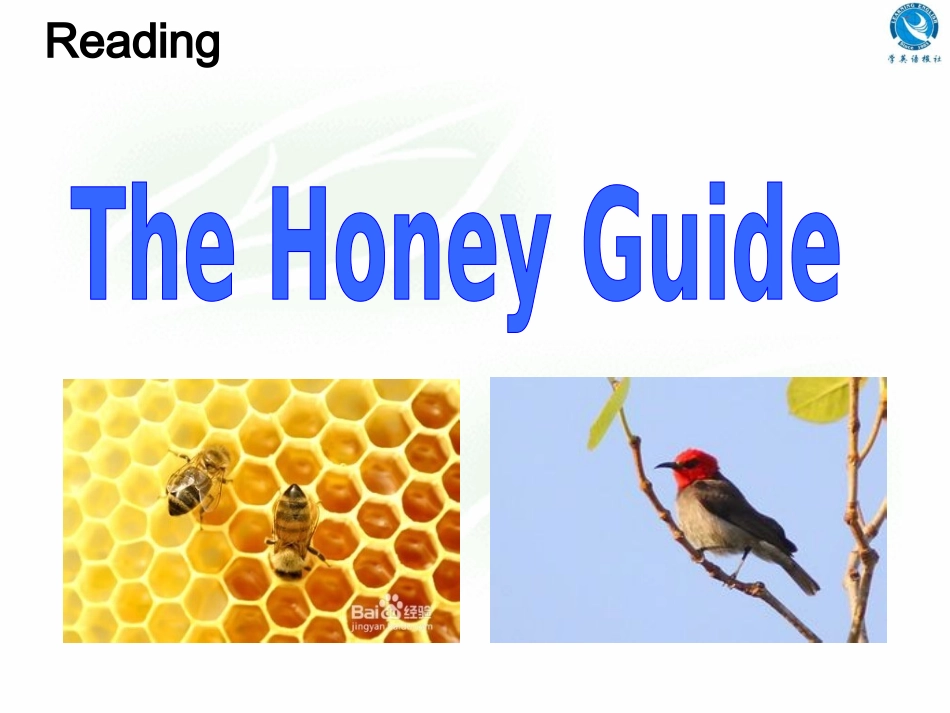 ReadingTheCoquiinHawaii_第2页