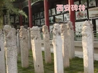 第四单元知白守黑笔墨生辉