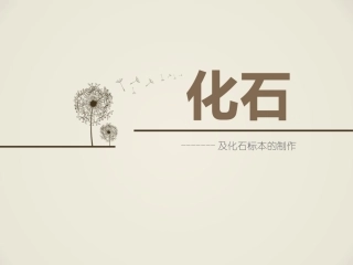 与生物学有关的职业-化石标本的制作-(2)