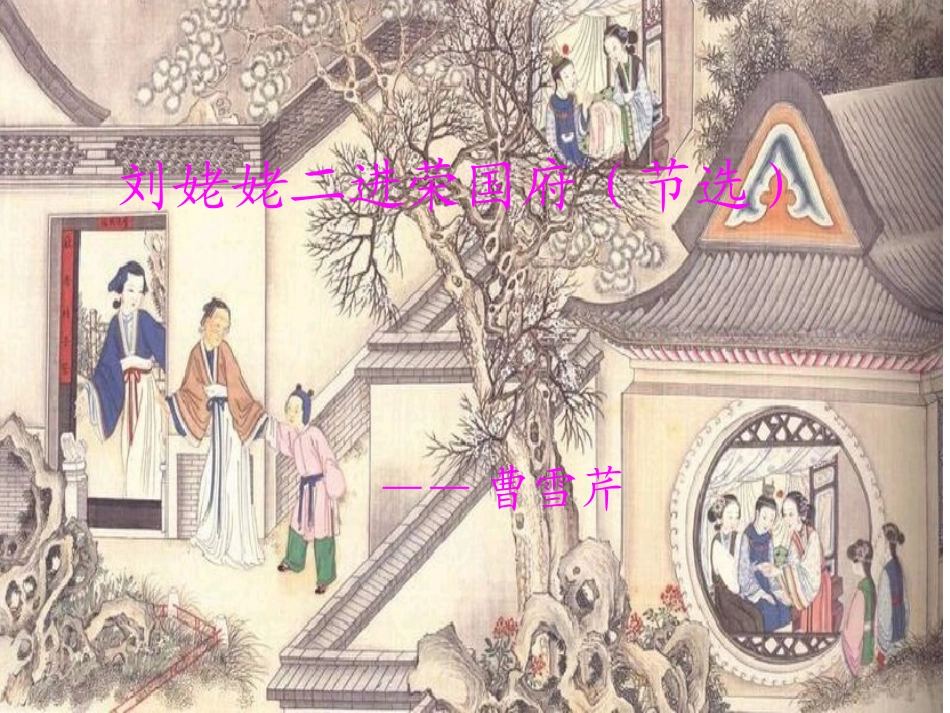 《刘姥姥二进荣国府(节选)》课件_第1页