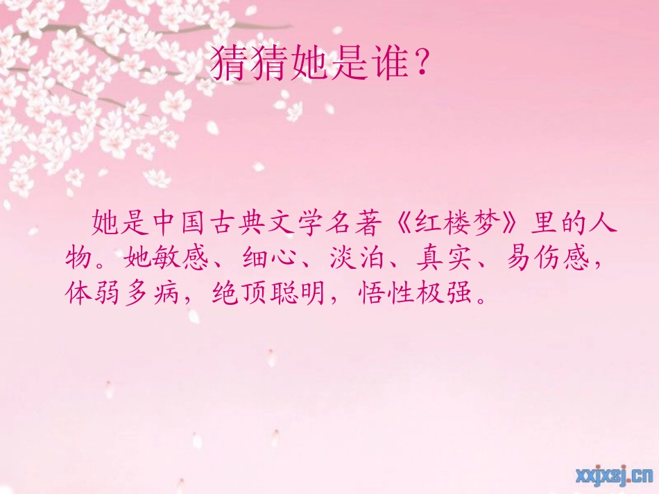 《刘姥姥二进荣国府(节选)》课件_第3页
